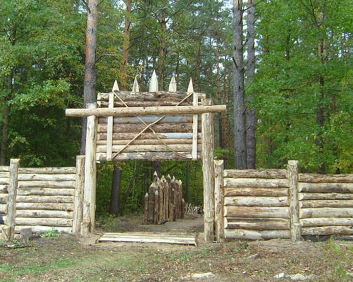 Козельские-ззасеки0621.jpg