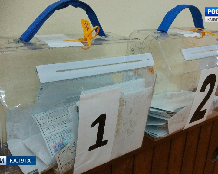 Выборы-Полотняный2-0318.jpg
