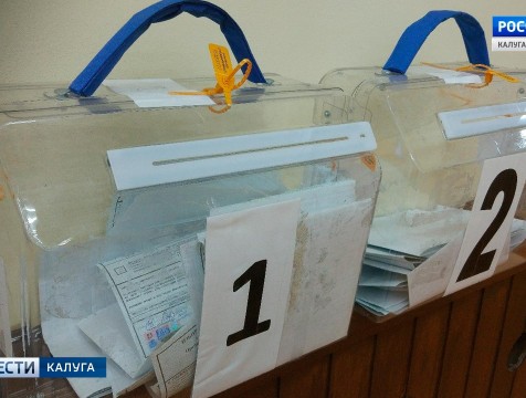 Московского мэра будут выбирать в калужском регионе