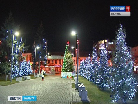Новогодняя ночь в регионе будет морозной, но без снега