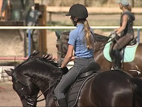 Призерами Первенства ЦФО по конному спорту стали калужские всадники