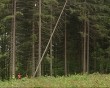 лесорубы6.jpg