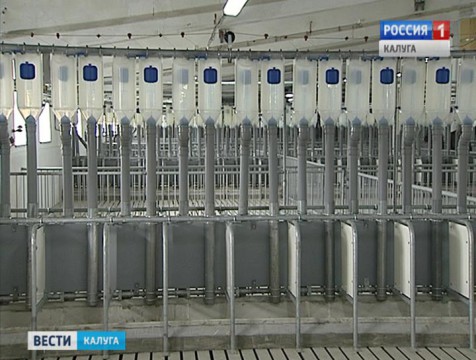 В Малоярославецком районе открыли современный свинокомплекс