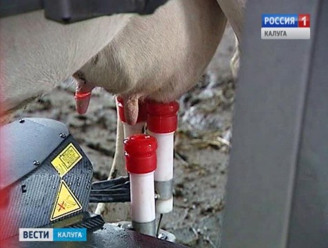 Доильных роботов будут собирать в Калуге