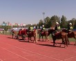 Школа-выживания1-0802.jpg