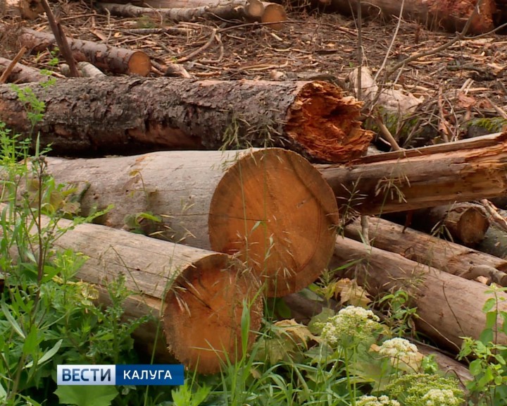 Брёвна0712.jpg