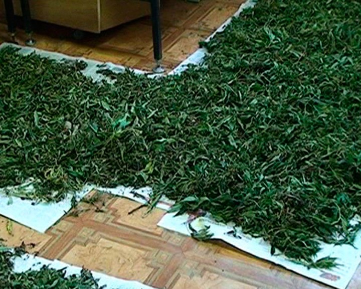 Наркотики0814.jpg