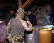 ФСБ-помидоры2-0827.jpg