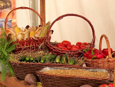 Более сотни аграриев представили продукцию на ярмарке «Калужская осень-2018»